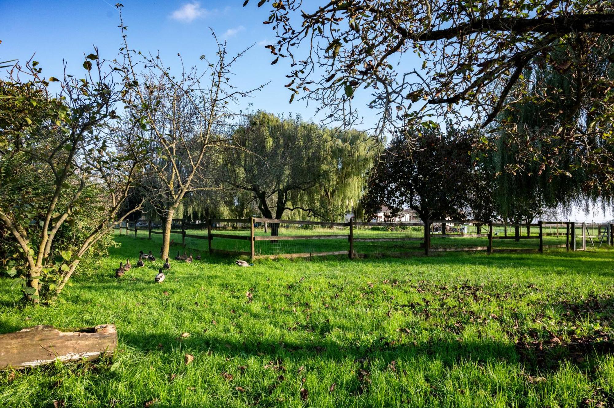 Agri Village Pavia Certosa di Pavia Eksteriør bilde